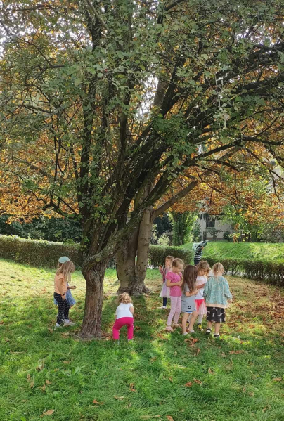 46115079810745265740063656131777994410830317n